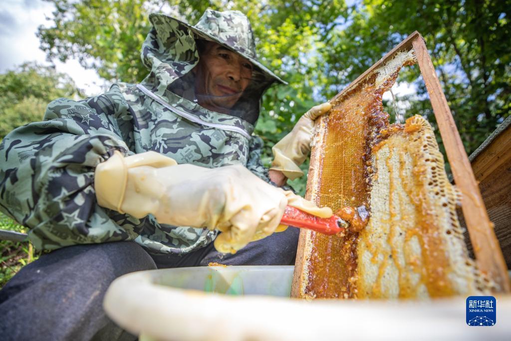 娱乐电子游戏平台网址